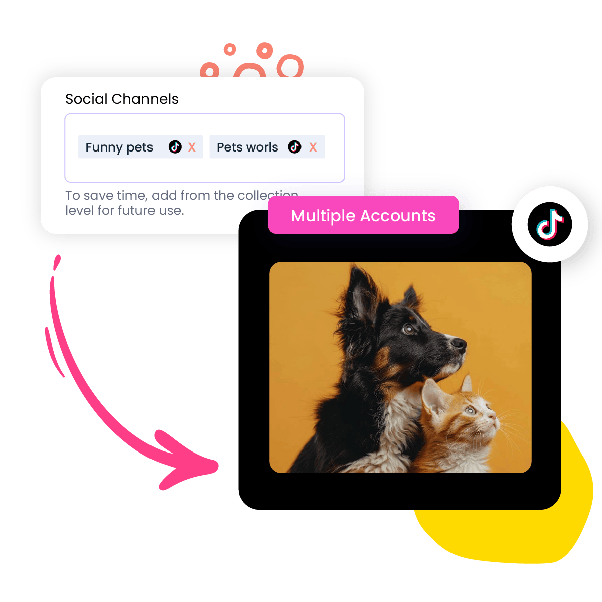 Manage Multiple TikTok Accounts