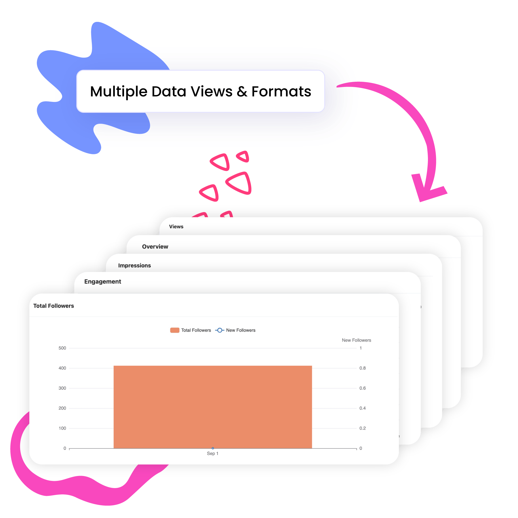 Multiple Data Views and Formats